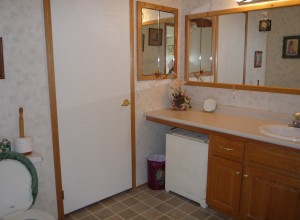 Bathroom w_Counter_Mirror